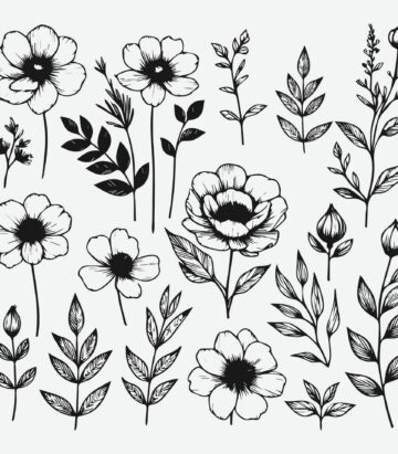 Colectie florala